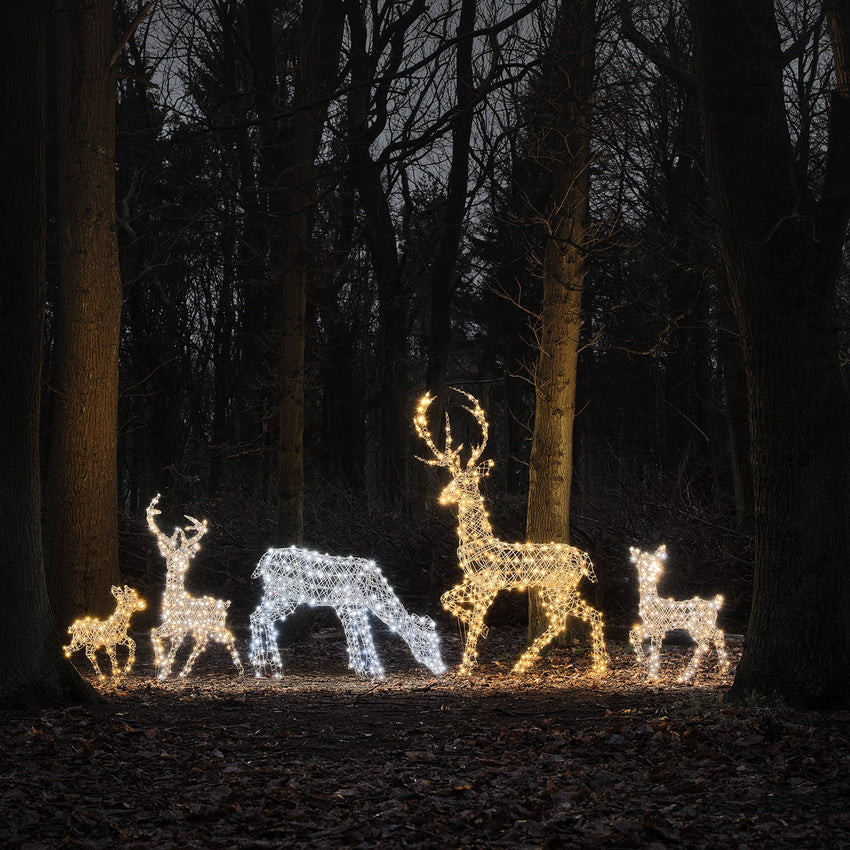 LED-Rentiere