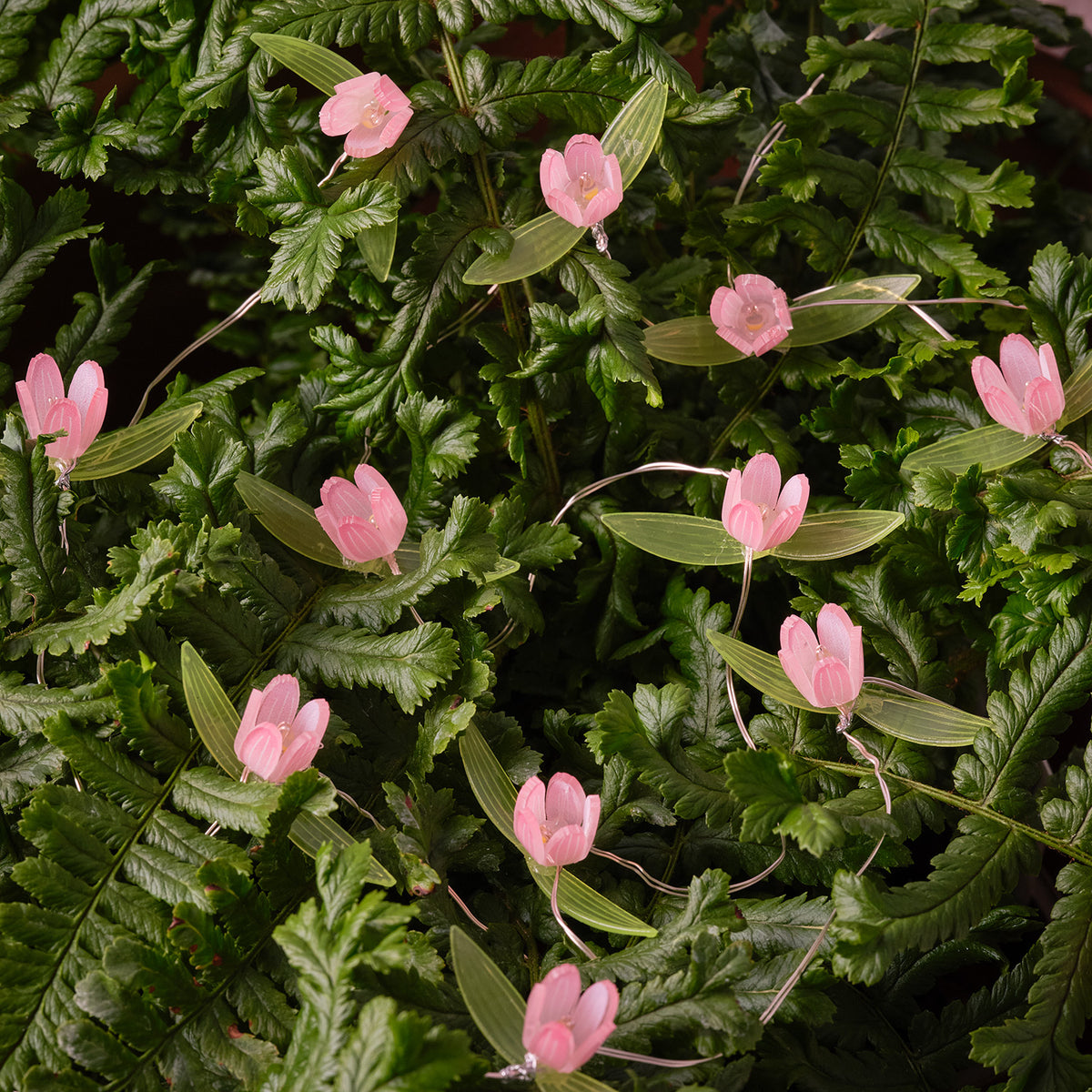 LED-Lichterkette mit pinken Blüten auf grünen Blättern im Dunkeln