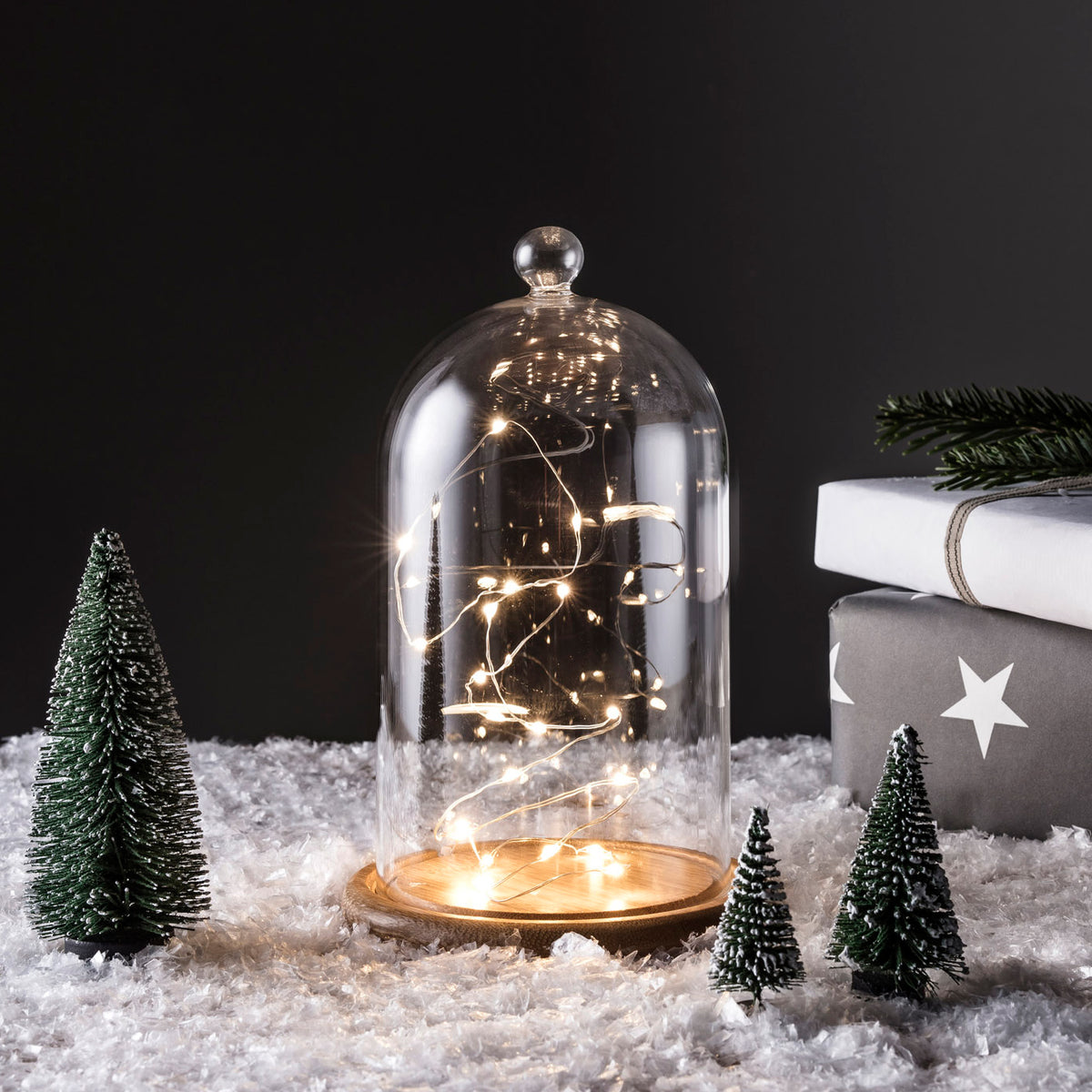 Glasglocke mit Micro Lichterkette auf Holzboden umgeben von kleinen Tannenbäumen und Geschenk
