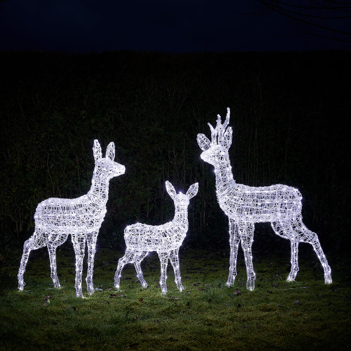 Drei weiße LED-Rentierfiguren aus Acryl auf Rasen vor dunkler Hecke bei Nacht