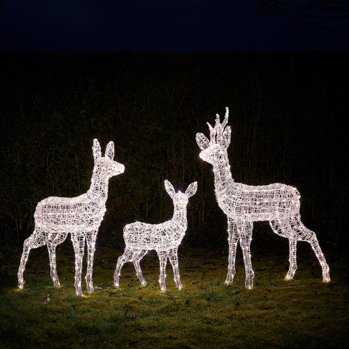 Drei weiße LED-Rentierfiguren aus Acryl auf Rasen vor dunkler Hecke bei Nacht