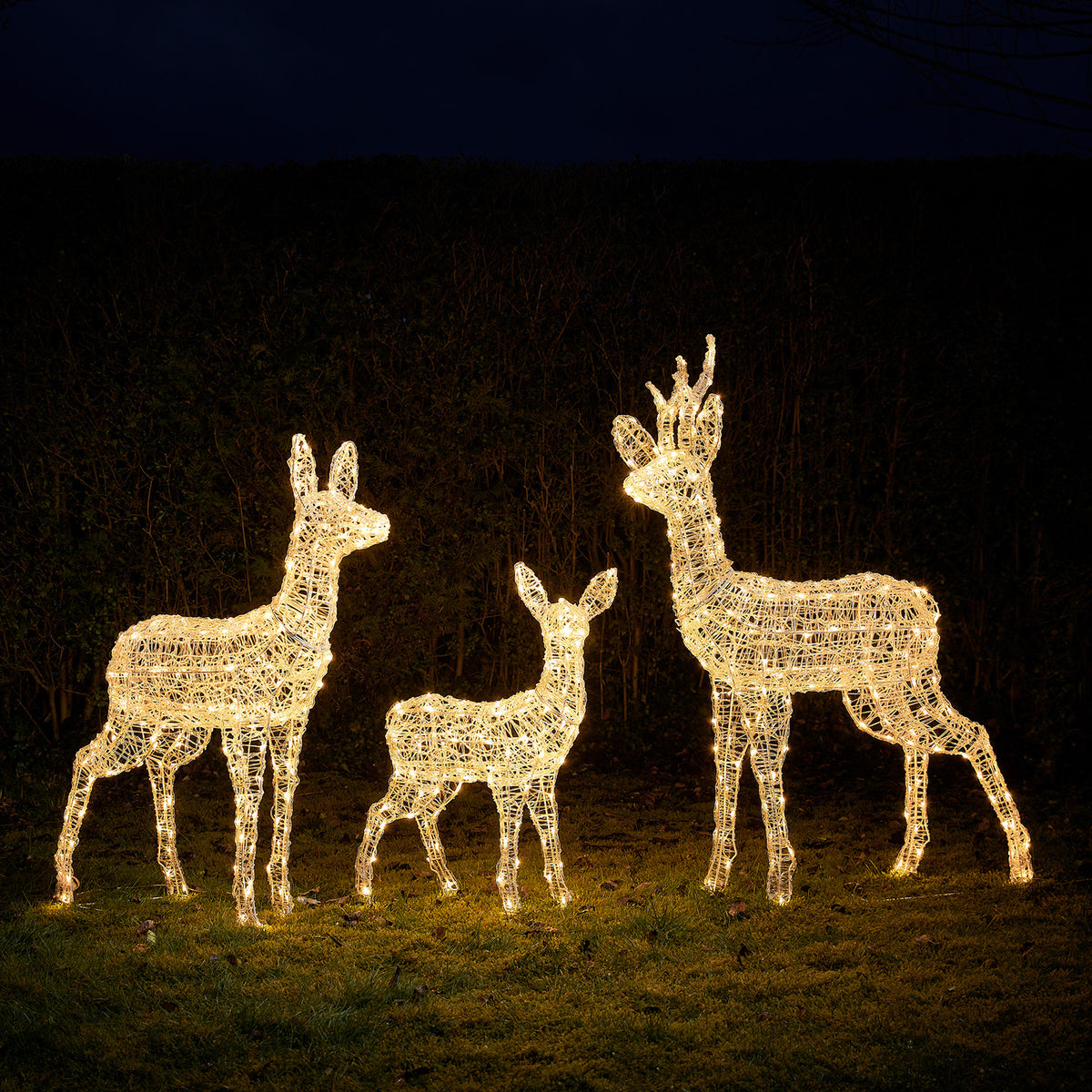 Drei warmweiße LED-Rentierfiguren aus Acryl auf Rasen vor dunkler Hecke bei Nacht