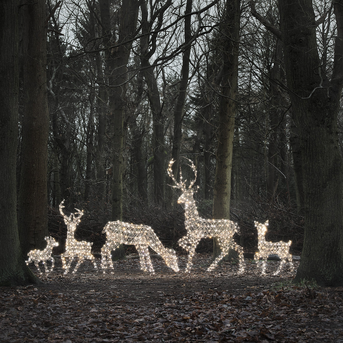 LED-Rentierfamilie XL Studley mit warmweiß und kaltweiß leuchtenden Rentieren im Wald