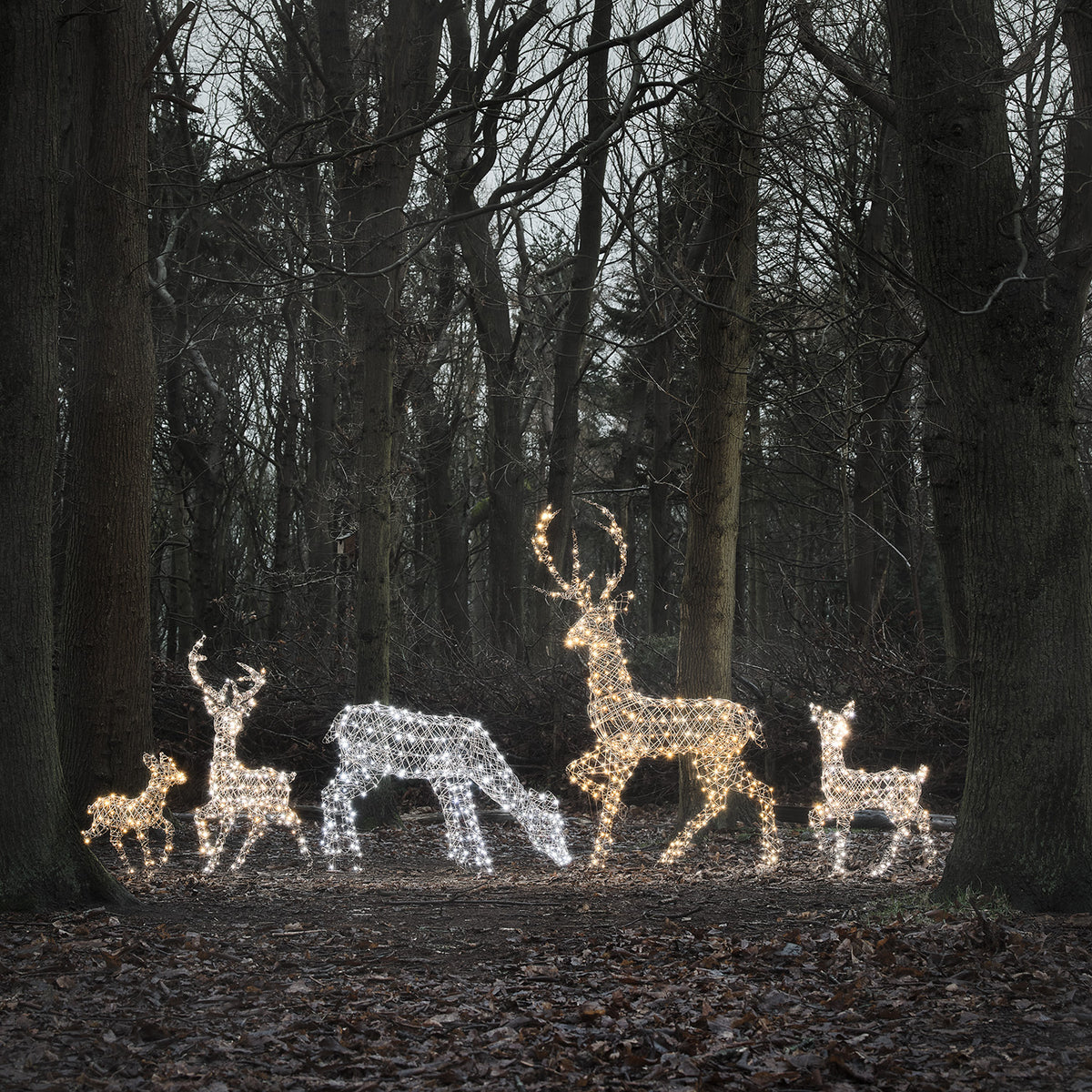 LED-Rentierfamilie XL Studley mit kaltweiß leuchtenden Rentierfiguren im Wald