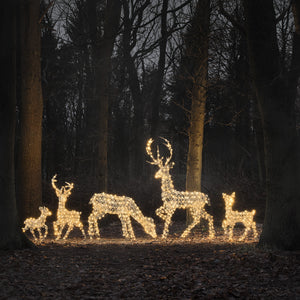 5er Set LED-Rentierfamilie XL Studley leuchtet warmweiß im dunklen Wald