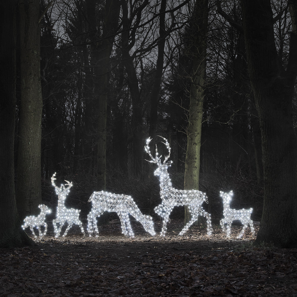 LED-Rentierfamilie XL Studley mit warmweiß und kaltweiß leuchtenden Rentieren im Wald
