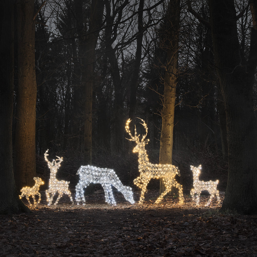LED-Rentierfamilie XL Studley mit warmweiß und kaltweiß leuchtenden Figuren im Wald