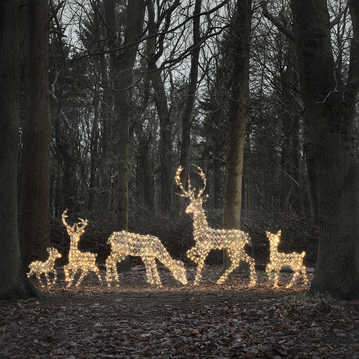 LED-Rentierfamilie XL Studley mit warmweiß leuchtenden Rentierfiguren im Wald