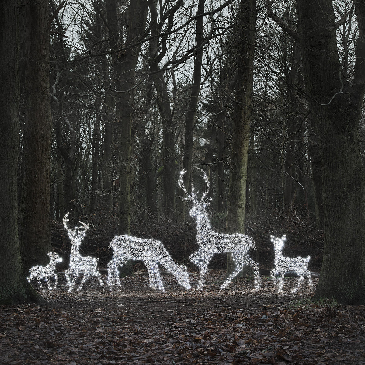 LED-Rentierfamilie XL Studley mit kaltweiß leuchtenden Rentierfiguren im Wald