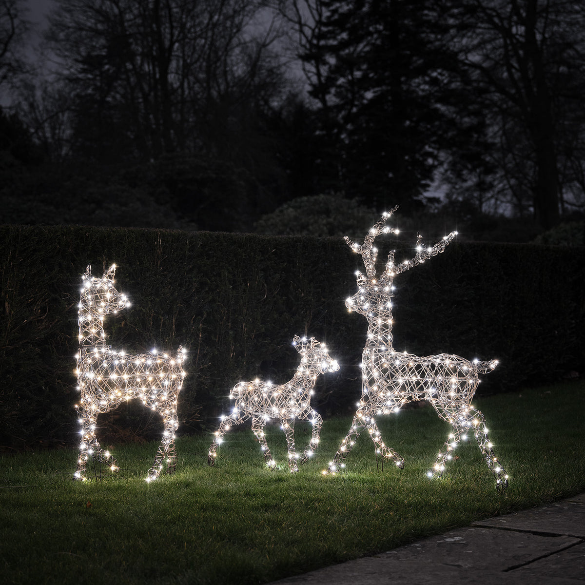 Drei leuchtende Solar-LED-Rentierfiguren in weißem Licht vor dunklem Hintergrund auf Rasen