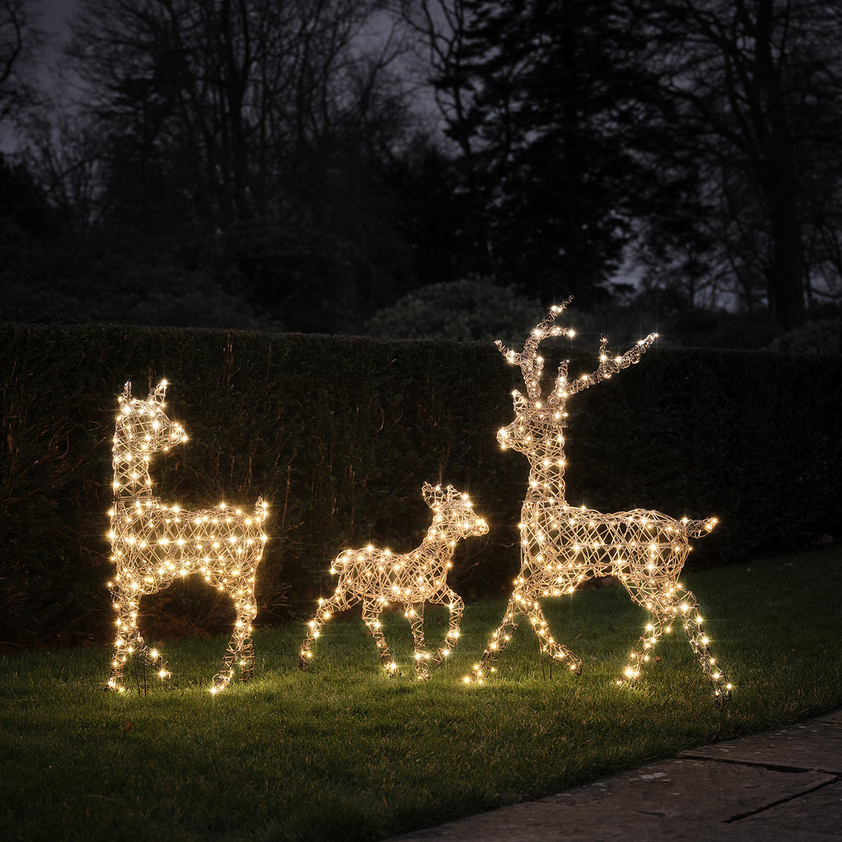Drei leuchtende Solar-LED-Rentierfiguren in warmweißem Licht vor dunklem Hintergrund