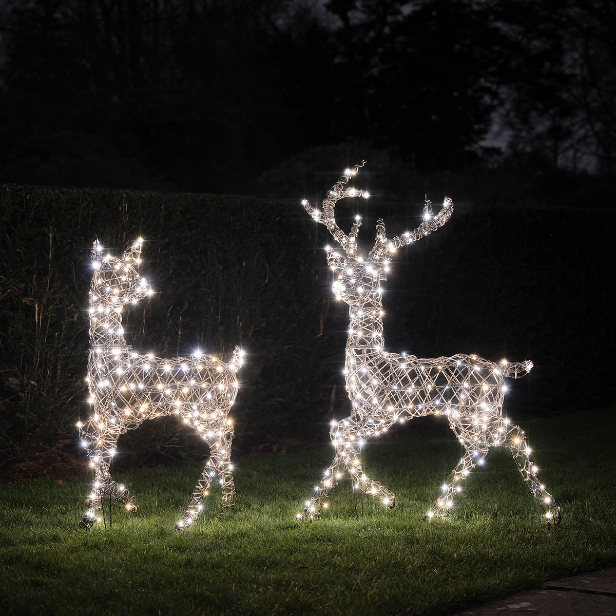 Solar-LED-Rentier Hirsch und Hirschkuh mit kaltweißem Licht im Garten bei Nacht
