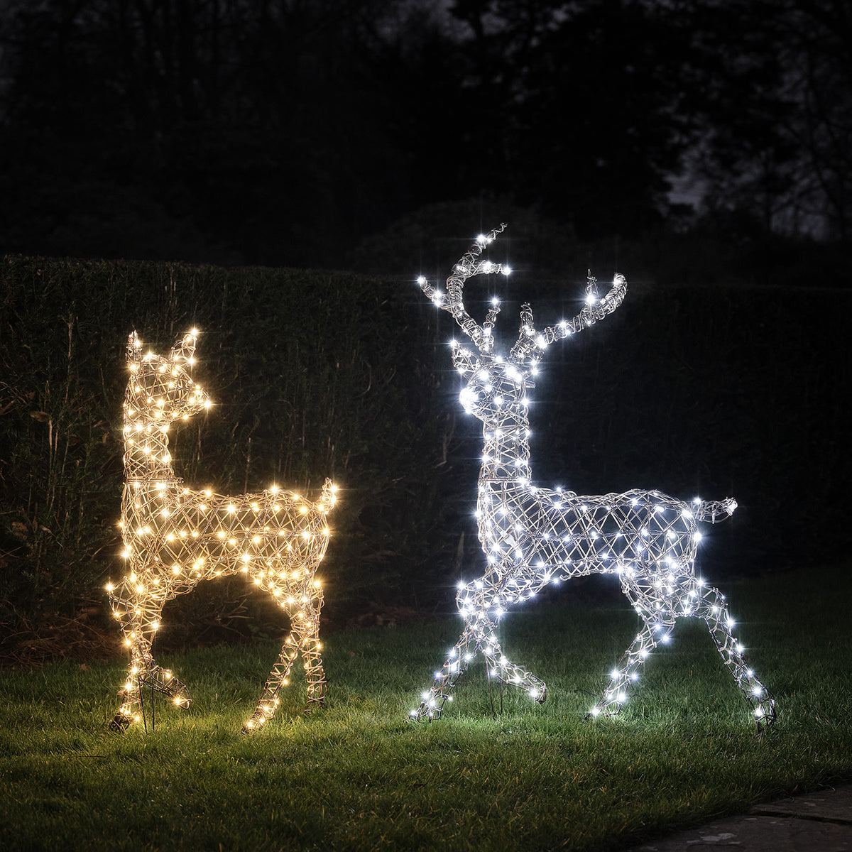 Solar-LED-Rentier Hirsch und Hirschkuh mit warmweißem und kaltweißem Licht im Garten bei Nacht