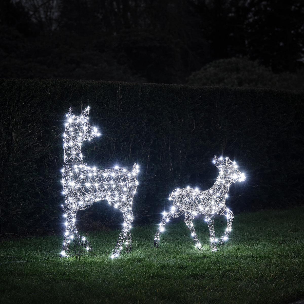LED-Rentier Hirschkuh und Rehkitz mit kaltweißen LEDs leuchtend im Garten bei Nacht