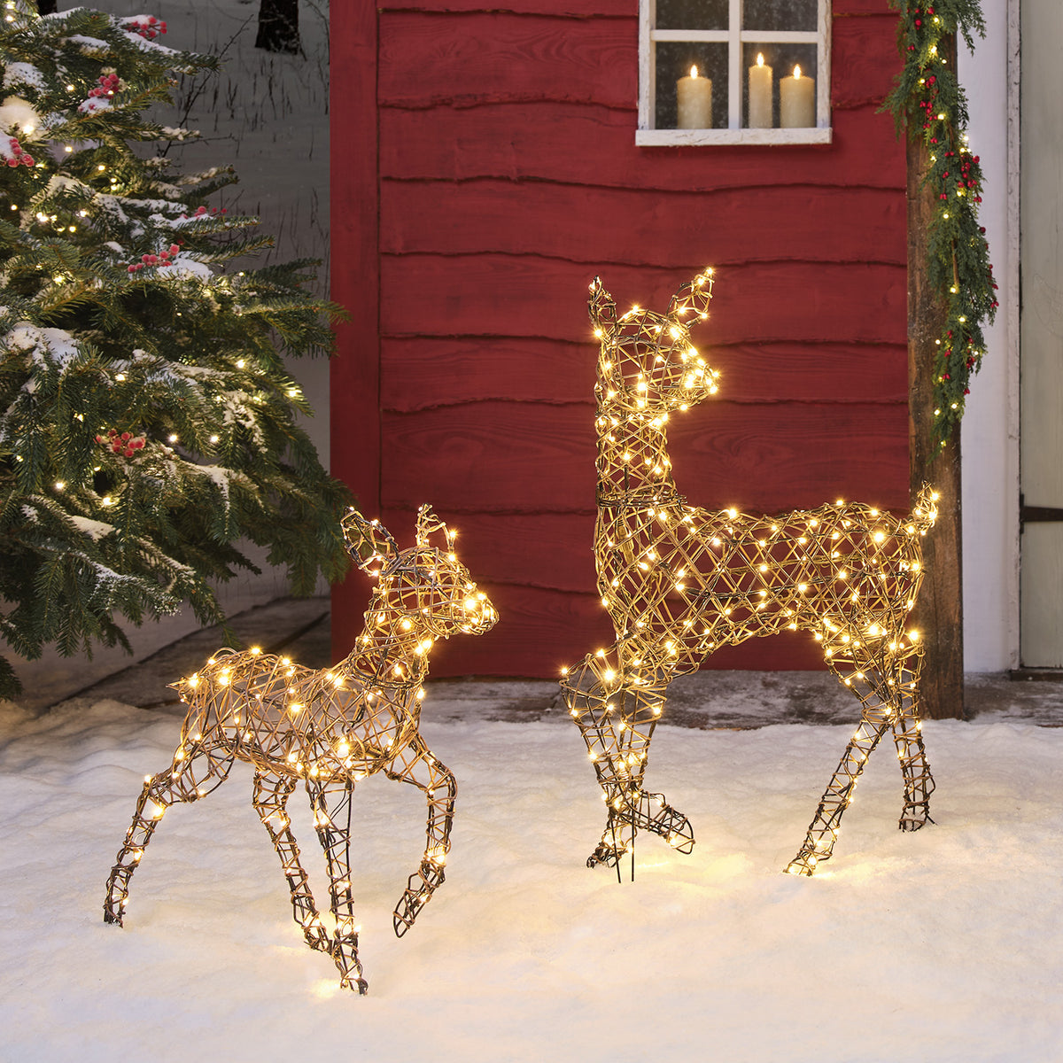 LED-Rentier Hirschkuh und Rehkitz mit warmweißen LEDs leuchtend im Schnee vor rotem Haus