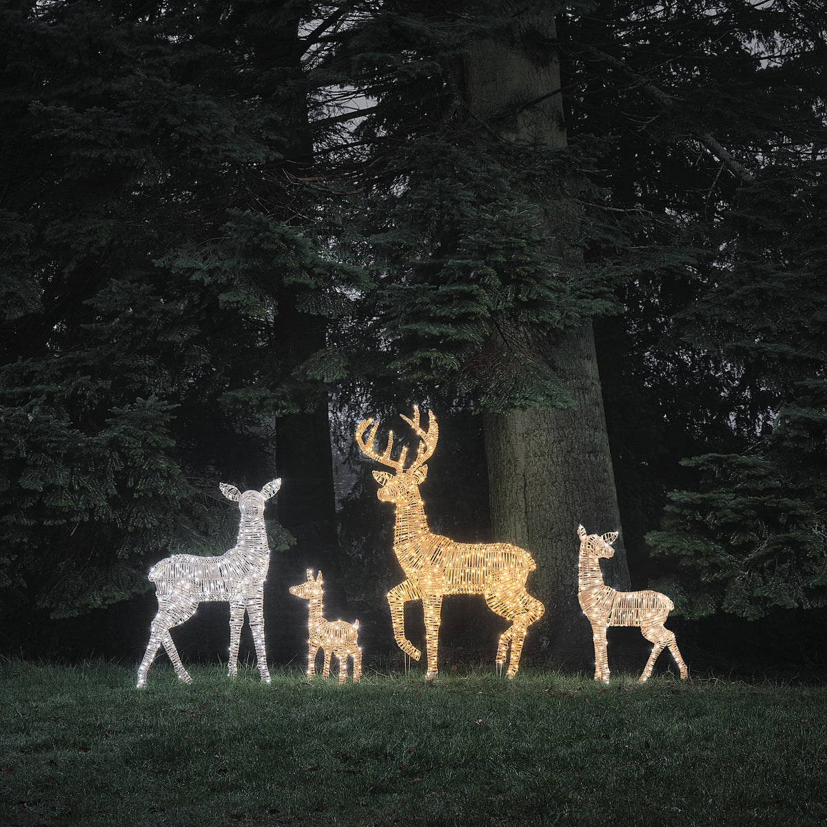 Leuchtende Rattan-Rentiere in verschiedenen Größen mit warmweißem und weißem LED-Licht im Garten bei Nacht