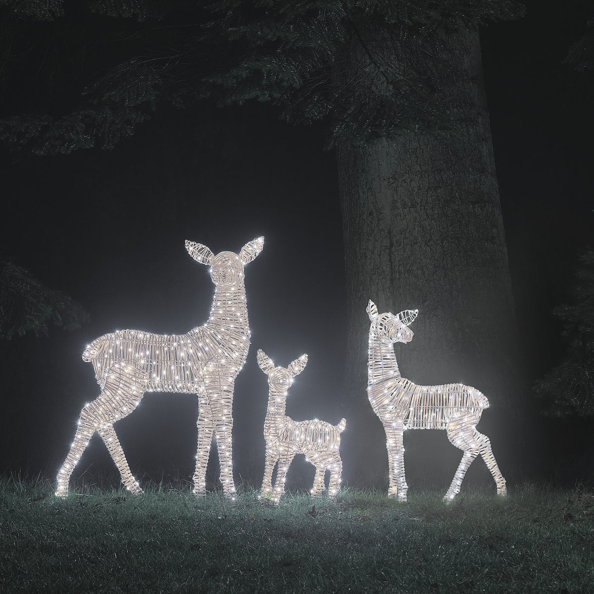 LED-Rentierfamilie in kaltem Weißlicht leuchtend vor dunklem Baum