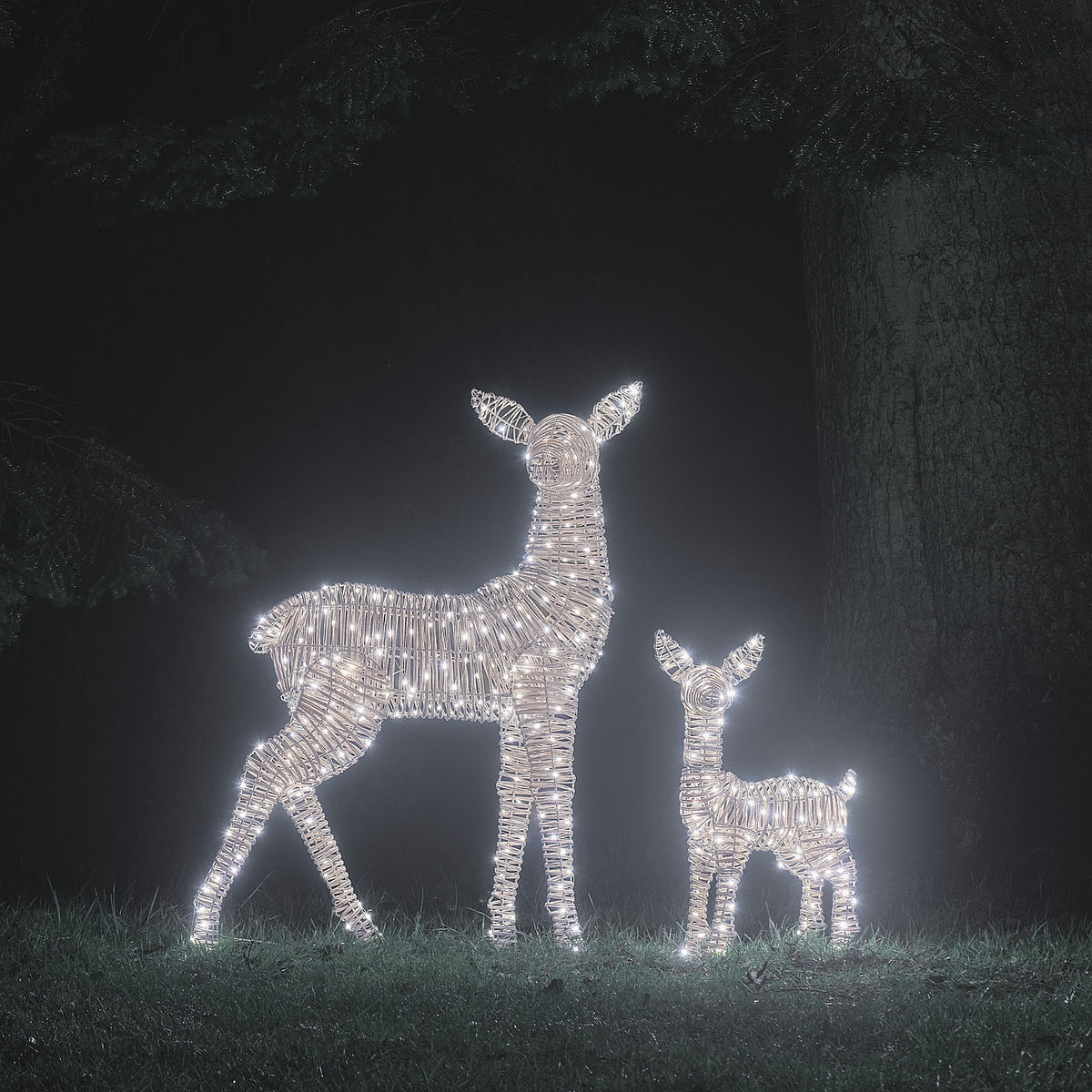 LED-Rentiere Hirschkuh und Rehkitz in Rattan-Optik leuchtend in Weiß im Garten bei Nacht