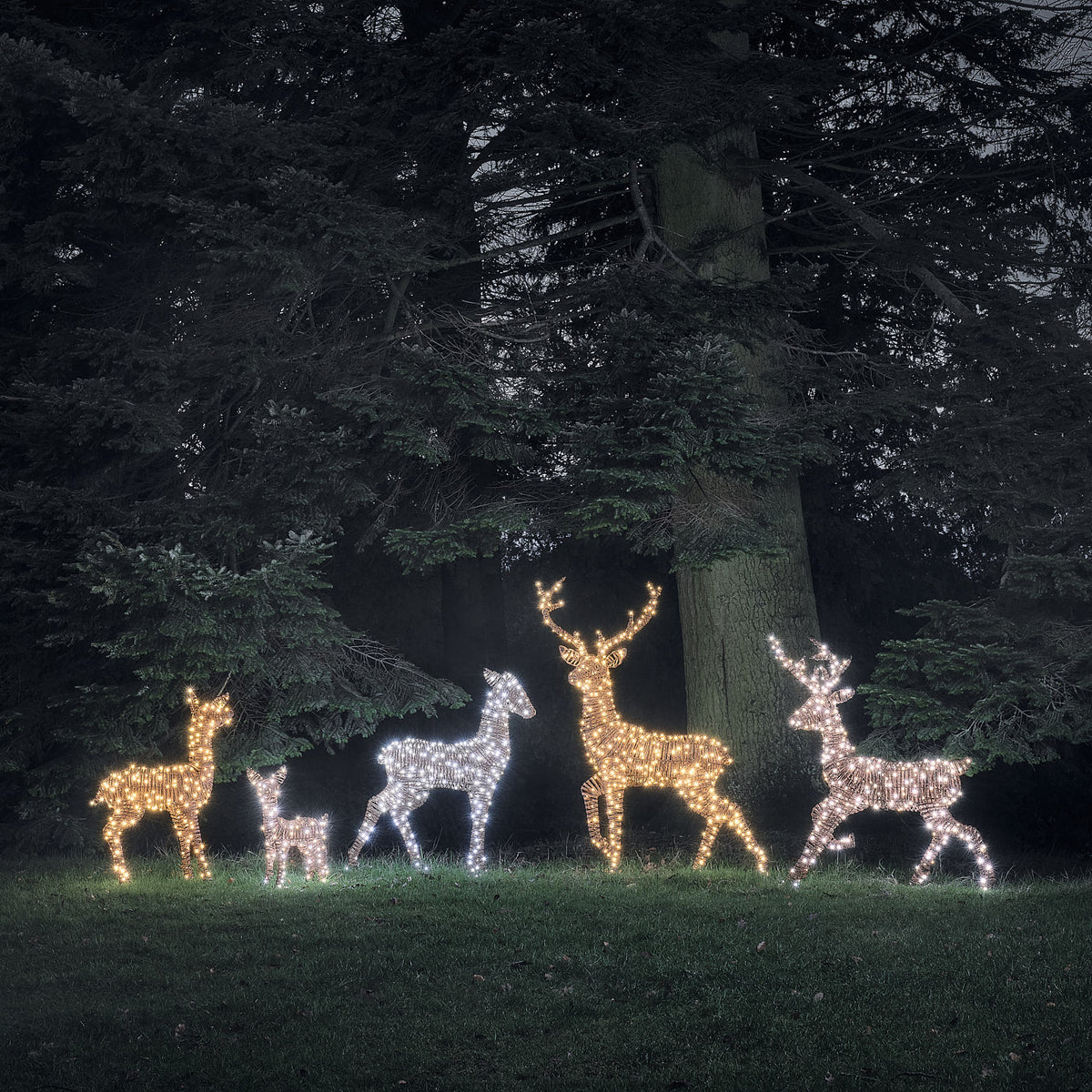 LED-Rentiere Hirsch und Hirschkuh in Rattanoptik mit warmweißem Licht im Garten bei Nacht
