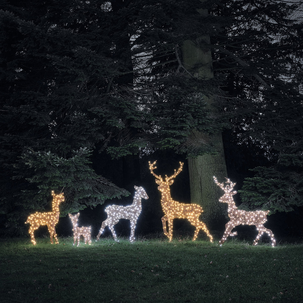Pateley Rattan Bicolor LED-Rentier Familie mit 380 Mikro-LEDs beleuchtet