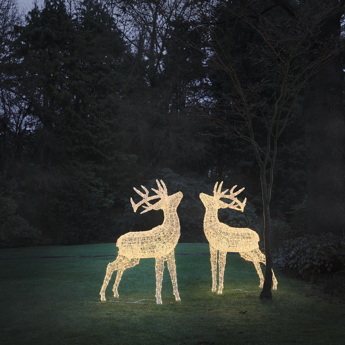 Zwei beleuchtete LED-Hirschfiguren aus weißem Acryl im Garten bei Dämmerung