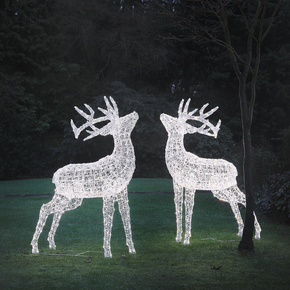 Zwei LED-Hirschfiguren aus weißem Acryl mit kühlem weißen Licht im Garten bei Nacht