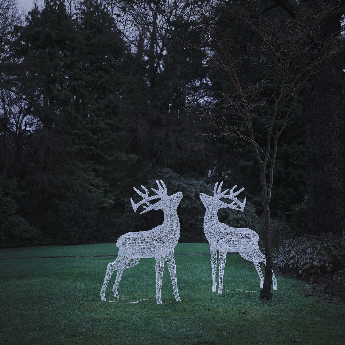 Zwei große weiße LED-Hirschfiguren aus Acryl stehen beleuchtet auf einer Wiese vor dunklem Wald