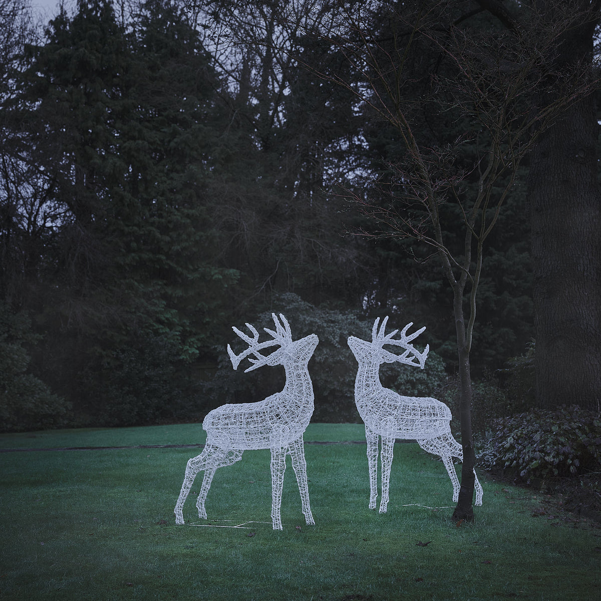 Zwei leuchtende LED-Hirschfiguren aus weißem Acryl mit warmweißem Licht im Garten