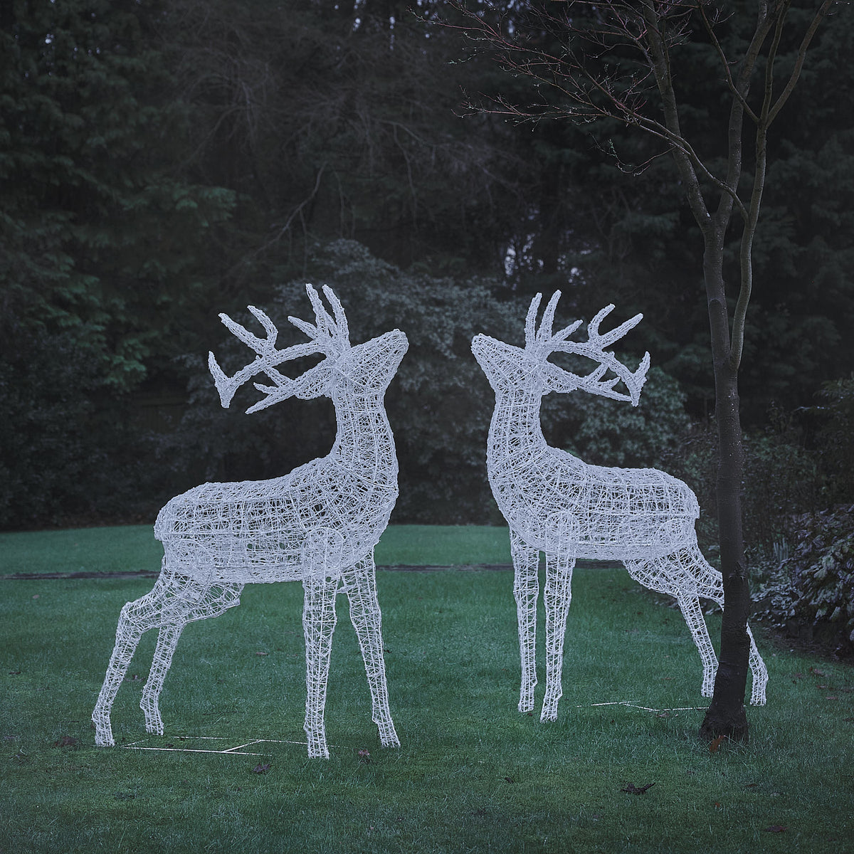 Zwei beleuchtete LED-Hirschfiguren aus weißem Acryl im Garten bei Dämmerung
