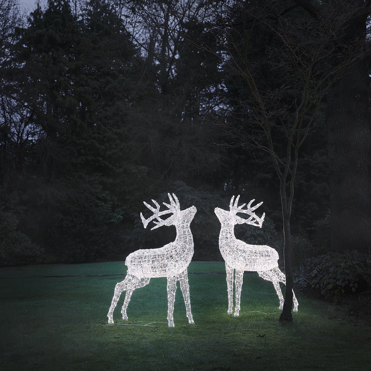 Zwei beleuchtete LED-Hirschfiguren aus weißem Acryl im Garten bei Dämmerung