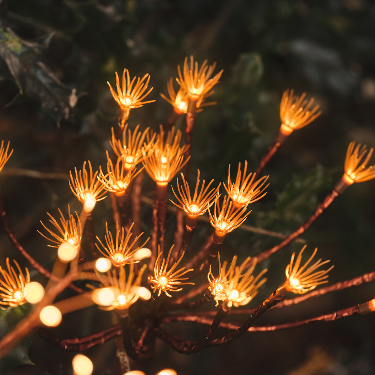 Nahaufnahme der warmweißen LED-Lichter in den goldfarbenen Pusteblumen-Gartensteckern im Dunkeln