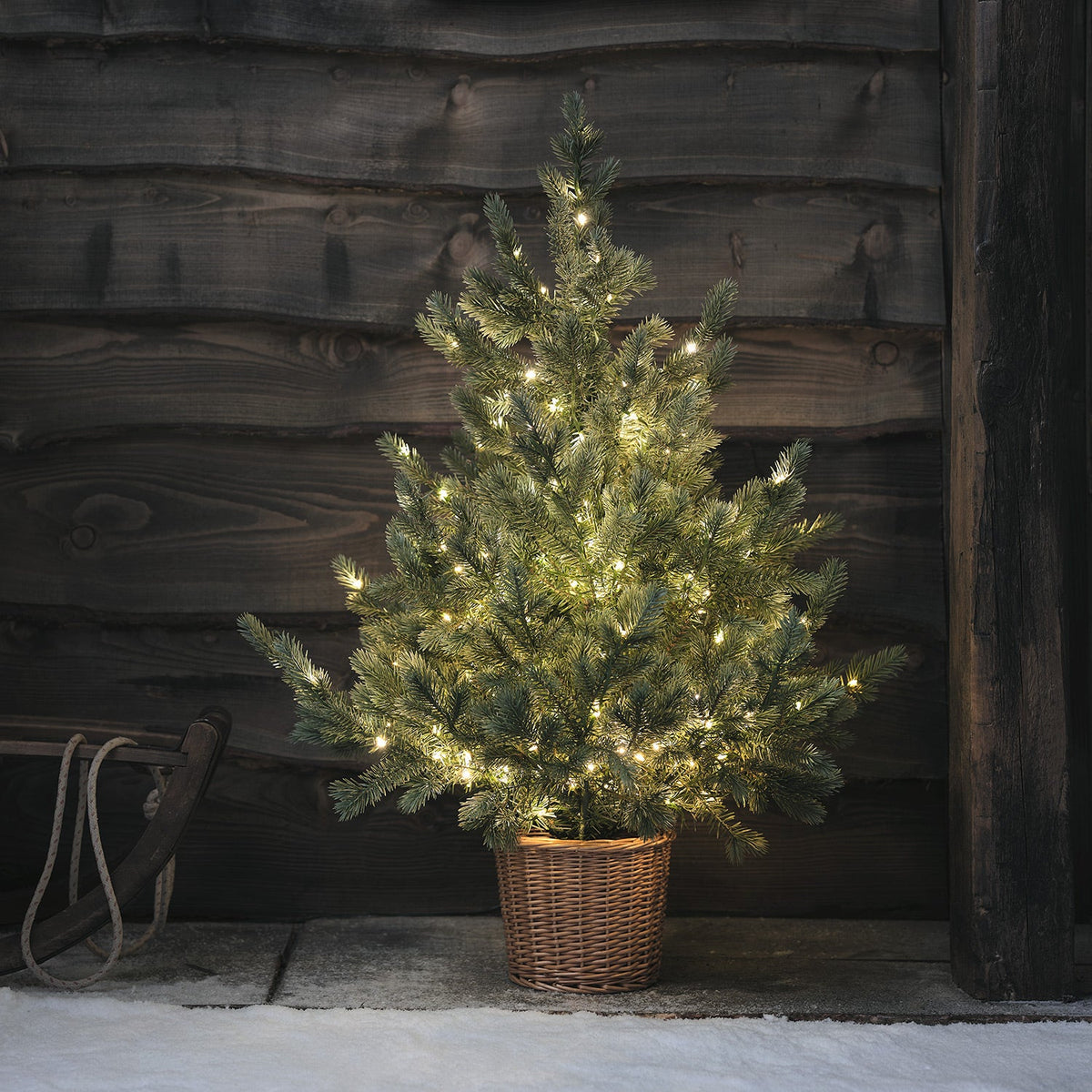 Beleuchteter Weihnachtsbaum mit warmweißen LEDs in Rattan-Topf vor dunkler Holzwand