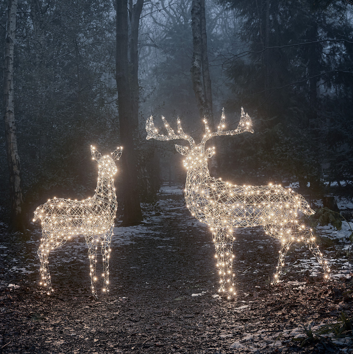 Zwei beleuchtete LED-Rentiere in Rattanoptik stehen im dunklen Wald auf verschneitem Boden