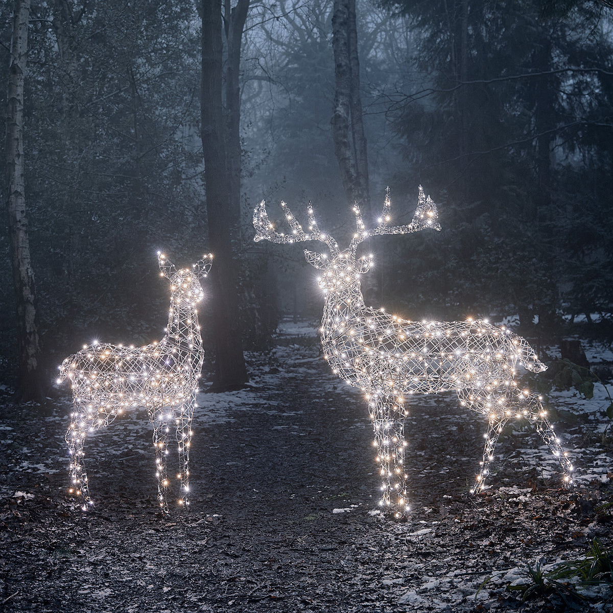 Zwei LED-Rentiere mit kaltweiß leuchtenden Lichtern im dunklen Wald auf verschneitem Boden