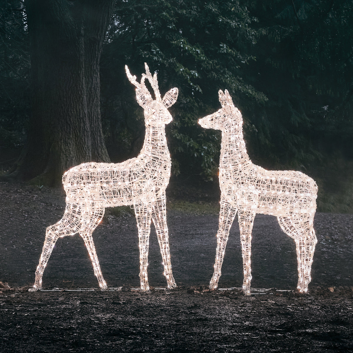 LED-Rentierpaar mit warmweißem Licht im dunklen Garten vor Bäumen