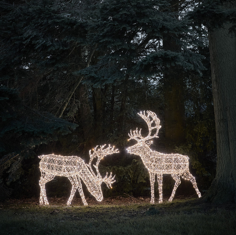 Solar-LED-Rentiere mit warmweißem Licht in einer winterlichen Waldszene