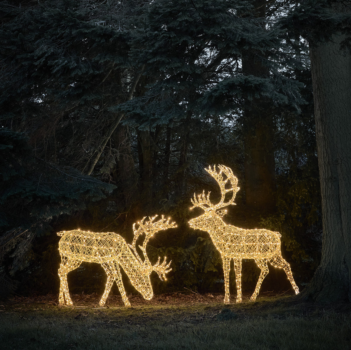 Zwei beleuchtete Solar-LED-Rentiere in Rattanoptik im Wald bei Dämmerung