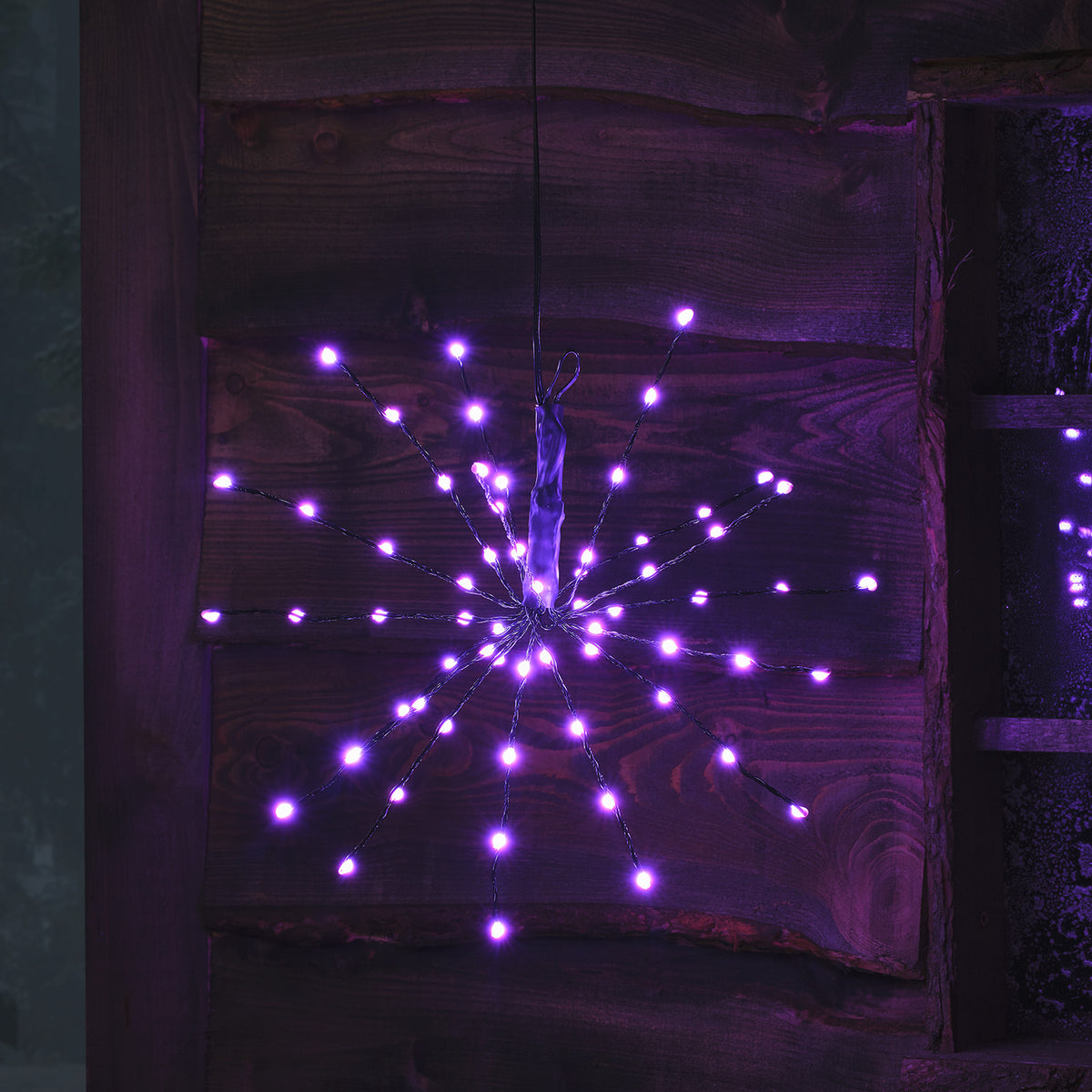 LED Starburst Weihnachtsdeko mit violetten LEDs an flexiblen Ästen vor Holz