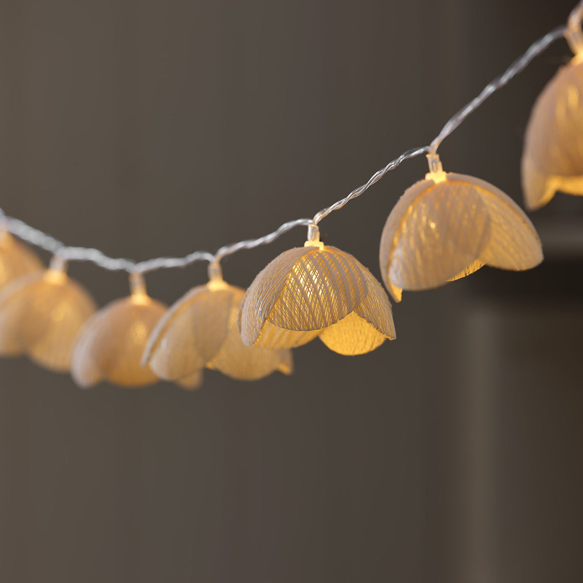 LED-Lichterkette mit warmweißen Wiesenblumen aus transparentem Kabel