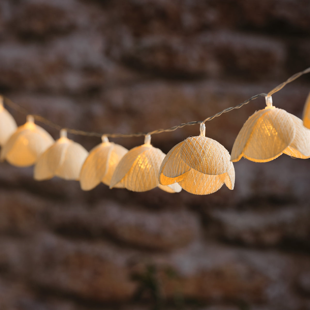 LED-Wiesenblumen-Lichterkette mit warmweißem Licht vor Steinwand
