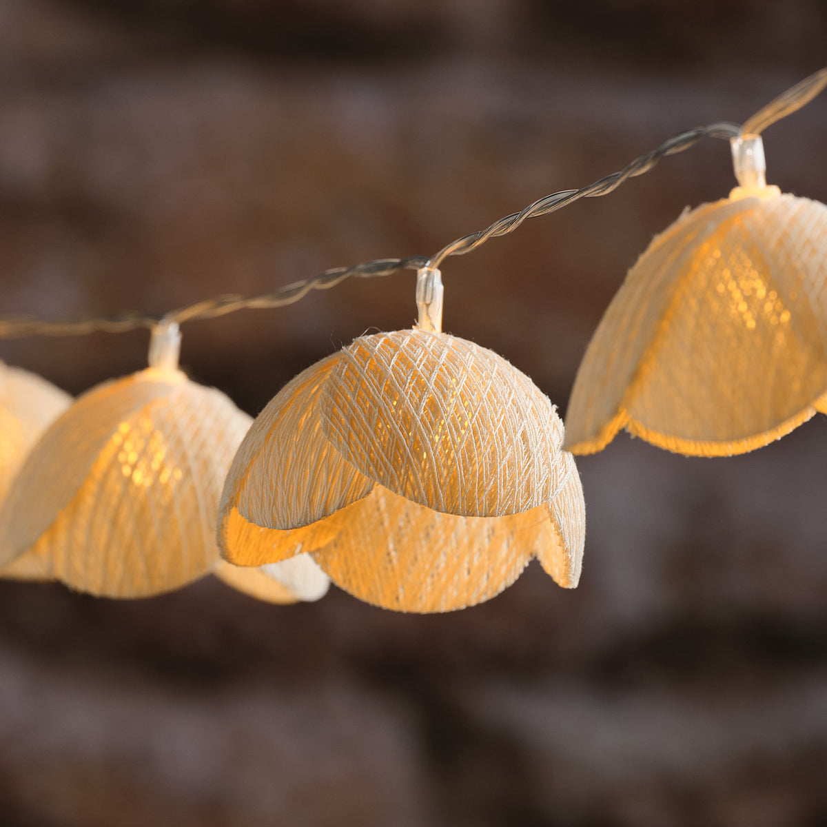 Leuchtende Blüten der LED-Wiesenblumen-Lichterkette auf transparentem Kabel