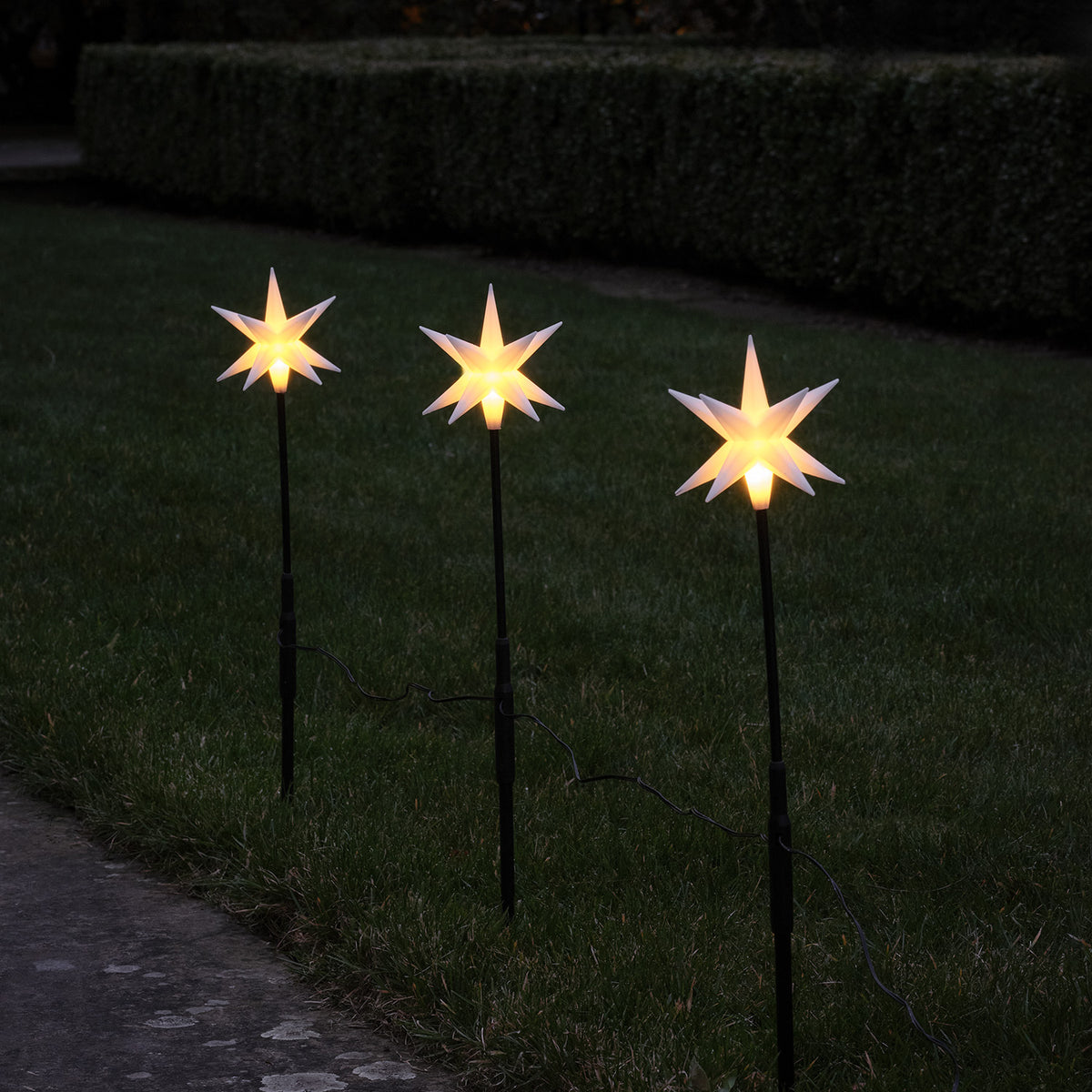 Drei beleuchtete weiße LED-Adventsterne auf Stäben im Garten bei Dämmerung