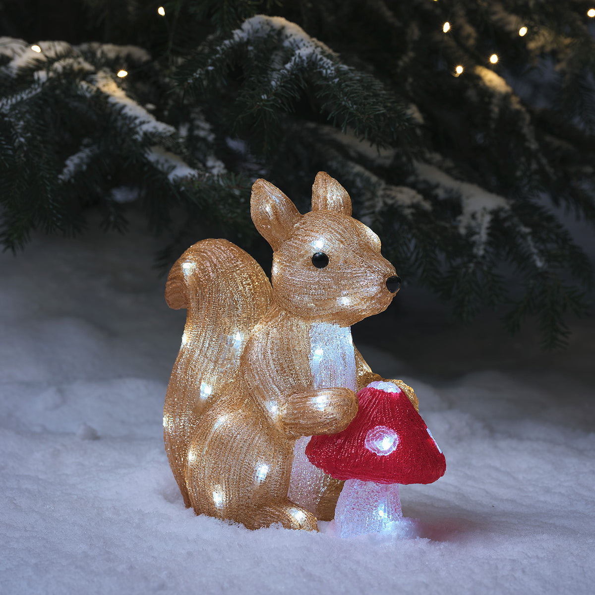 Leuchtende LED Acryl Eichhörnchenfigur mit rotem Pilz im Schnee vor Tannenzweigen