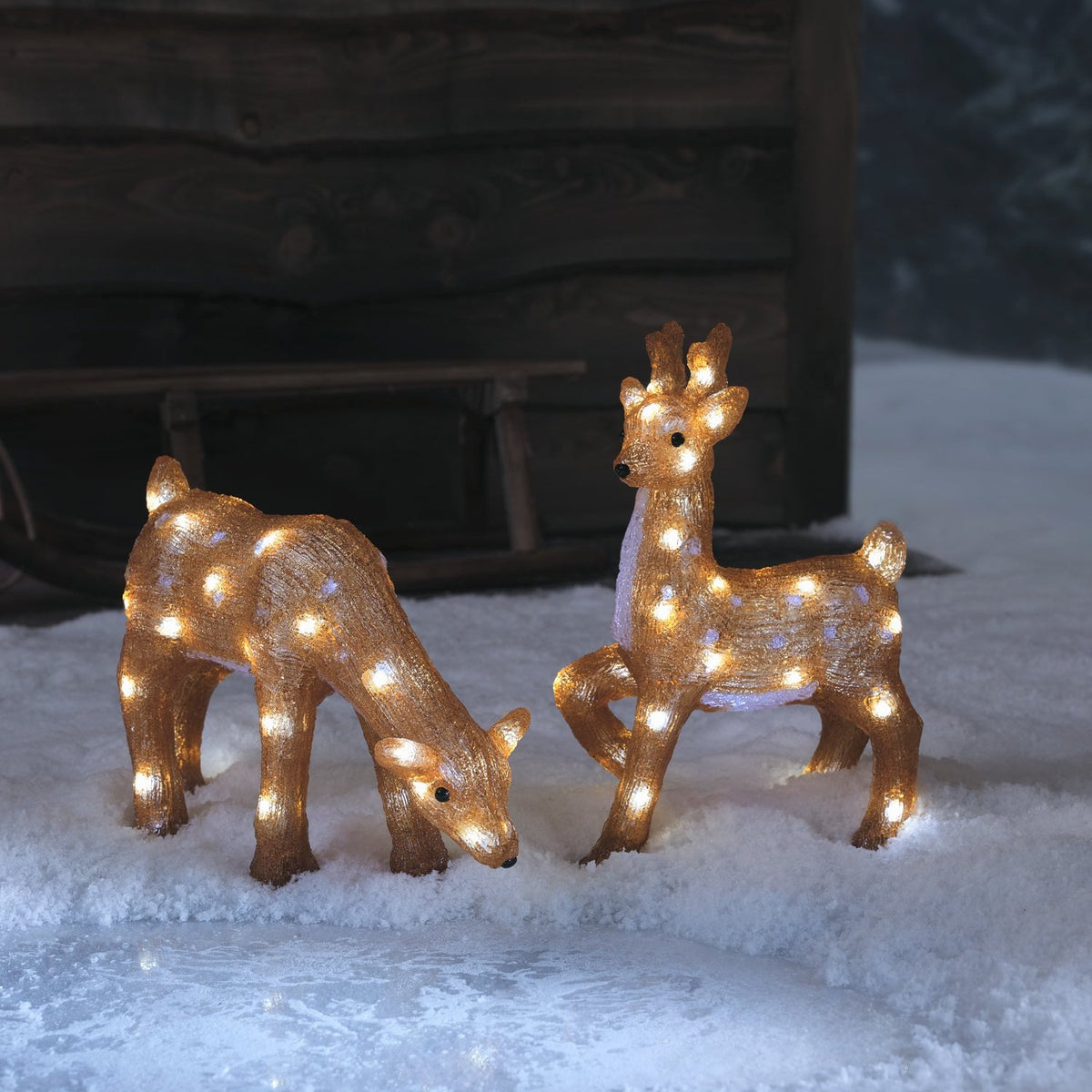 Zwei leuchtende Acryl-Rentiere, ein grasendes und ein stehendes, mit weißen LED-Lichtern im Schnee