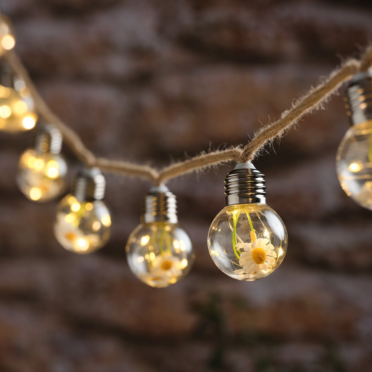 Nahaufnahme der LED-Lichterkette mit warmweißen Glühbirnen und Gänseblümchen vor dunklem Hintergrund