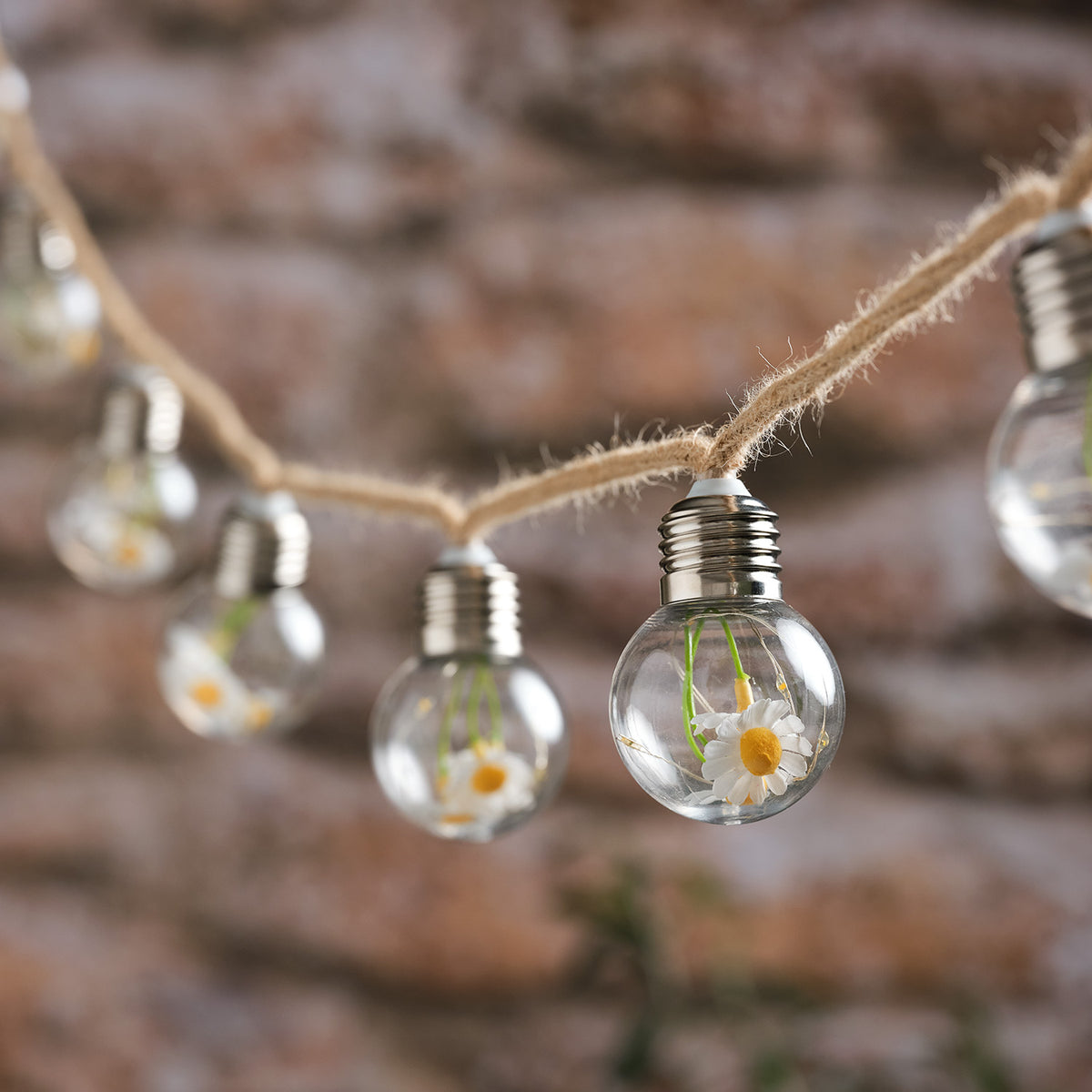 Nahaufnahme einer klaren Glühbirne mit Gänseblümchen und warmweißen LEDs an Juteseil