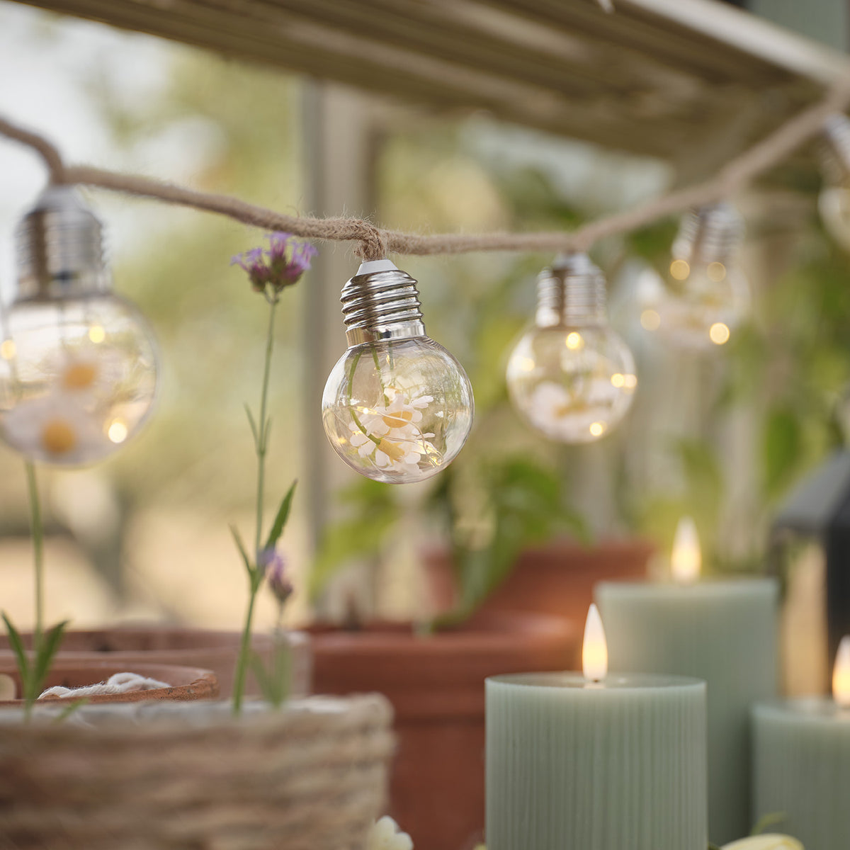 LED-Lichterkette mit warmweißem Licht und Gänseblümchen in Glühbirnen im Gewächshaus