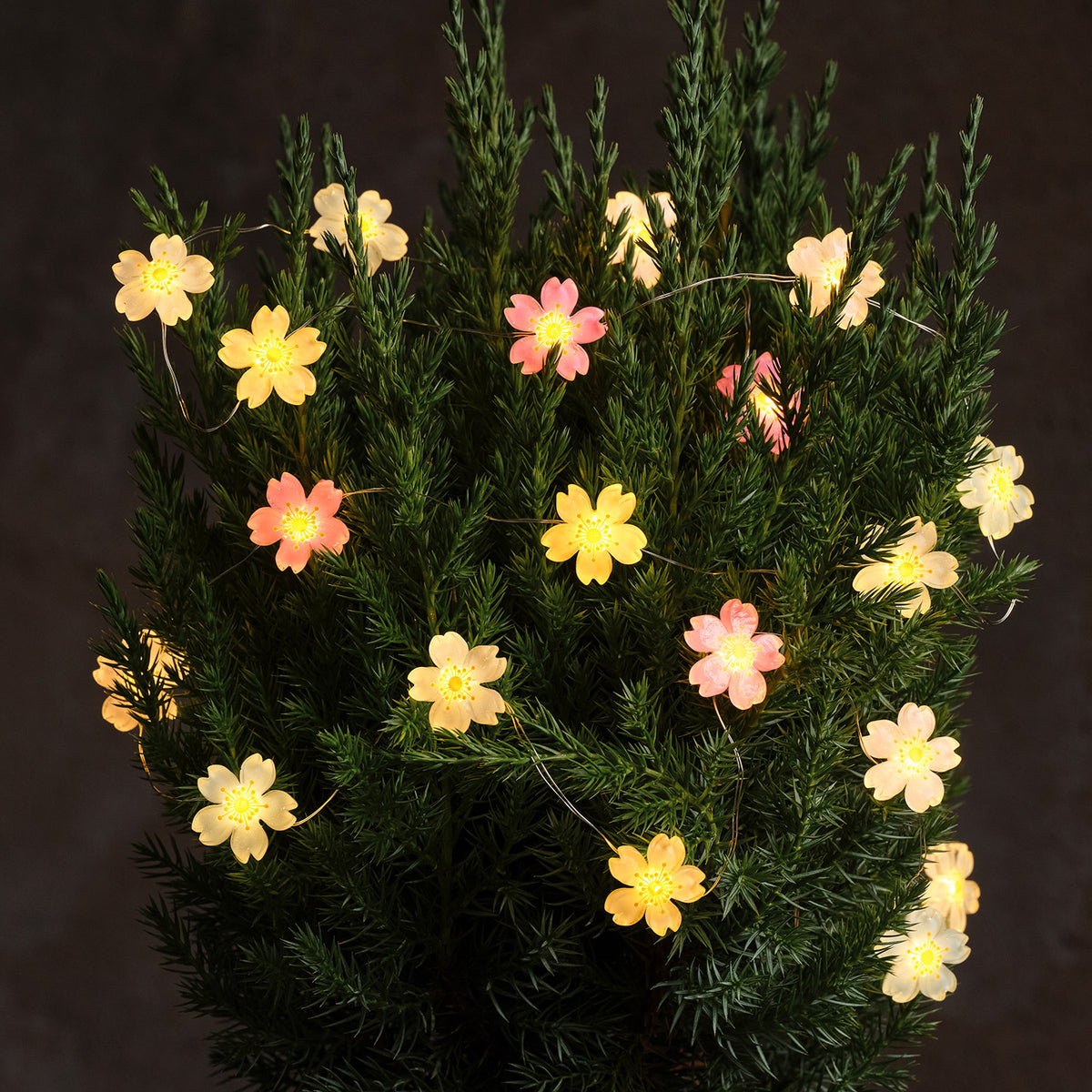 Blumenlichterkette mit warmweißen LEDs leuchtet dekorativ in grünen Zweigen