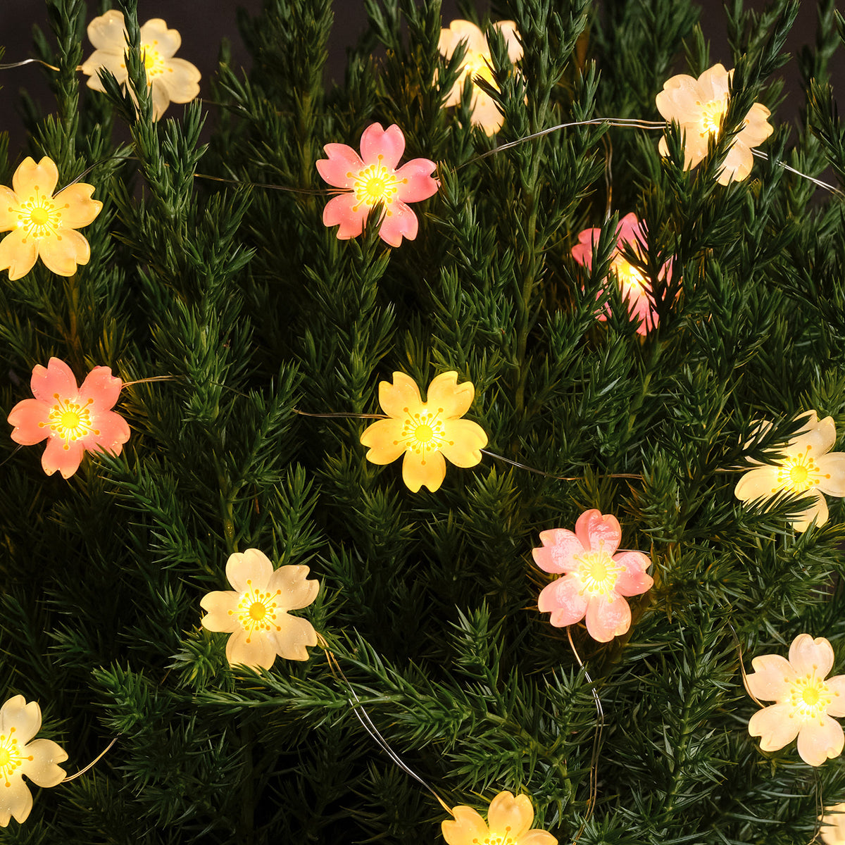 Blumenlichterkette mit warmweißen LEDs leuchtet dekorativ in grünen Zweigen