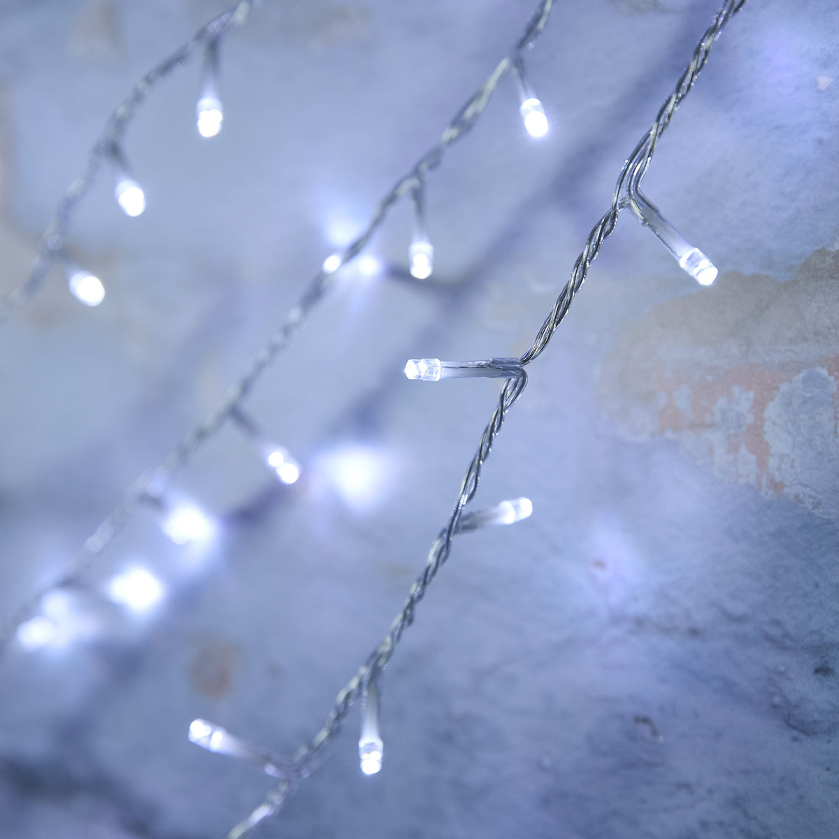 Nahaufnahme kaltweiße LEDs an transparentem Kabel der Bicolor Lichterkette